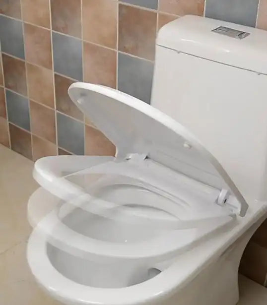 The Importance of Closing the Toilet Lid When Flushing: A Key to Better Hygiene